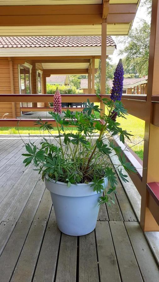 Lupine Lodge Gramsbergen Екстериор снимка